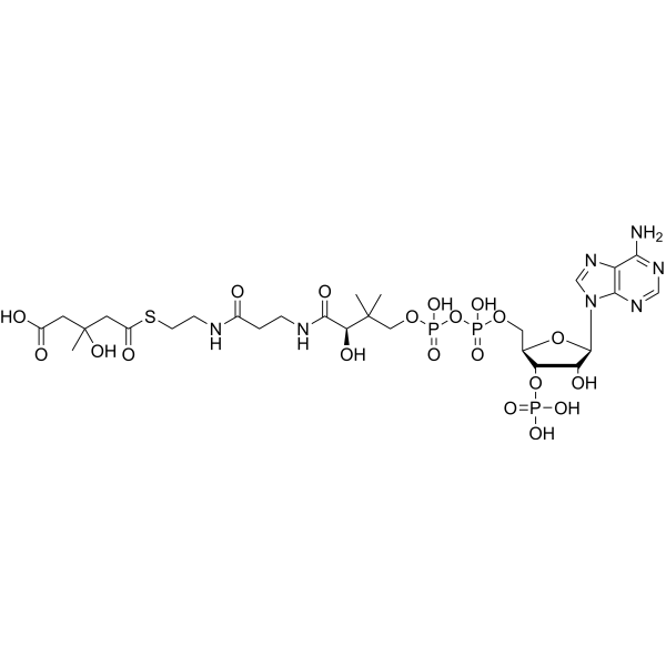 HMG-CoA (3-Hydroxy-3-methylglutaryl-CoA) 1553-55-5